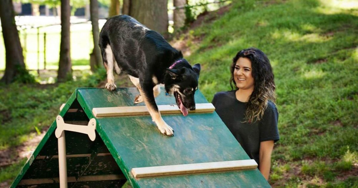 Veterinary case study pdf picture