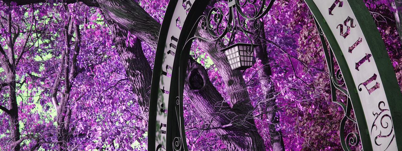 Embrace the power of the Northwestern Network. First time user? Sign up here!