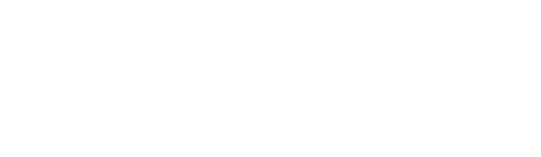 Northwestern Network Mentorship Program logo