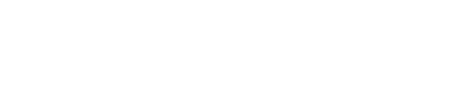 NEXT logo