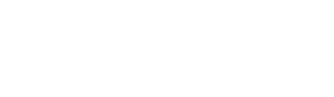Northwestern Network Mentorship Program logo