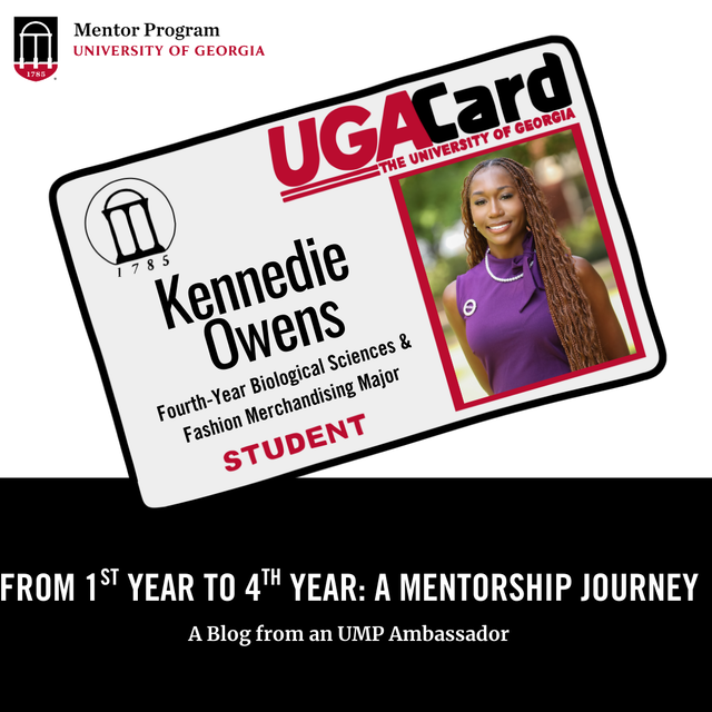 From 1st year to 4th Year: A Mentorship Journey