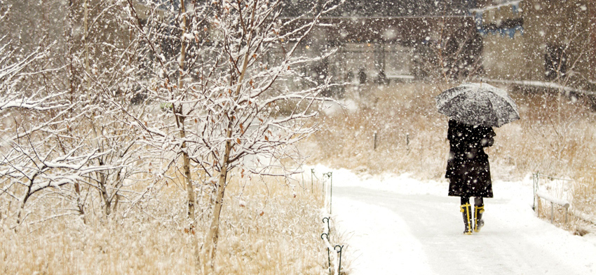 6 Reasons to Love the High Line in Winter | The High Line Blog