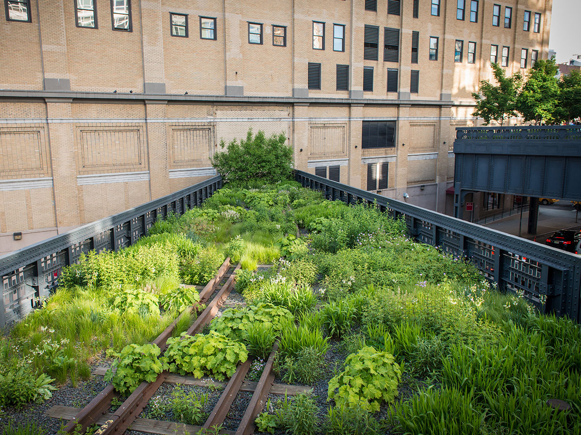 cose da vedere gratis a new york