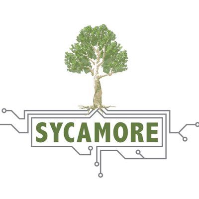 Sycamore International Government Contracts | Pavilion
