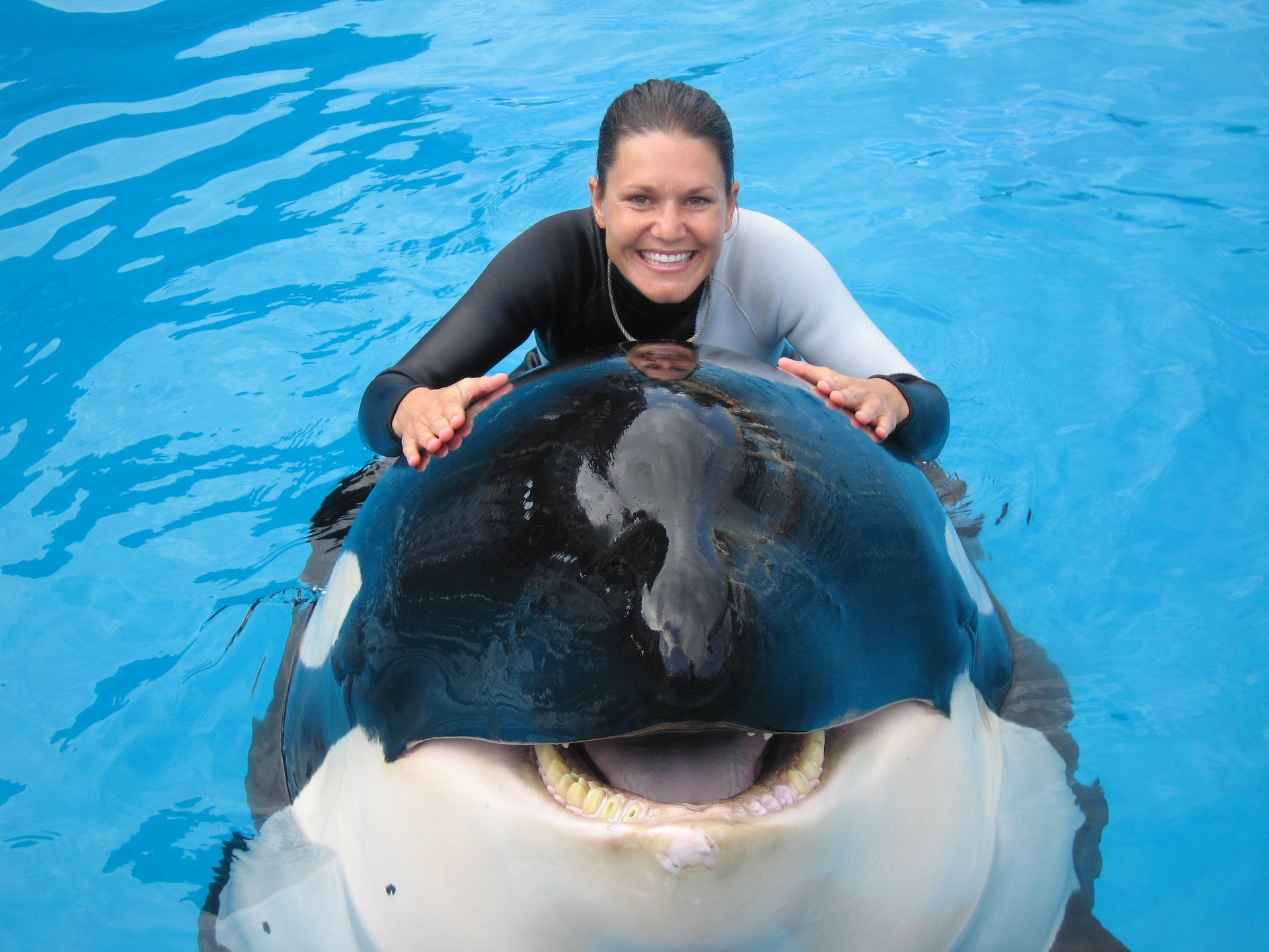 PRX » Piece » Orca Boy, image size:1920x1440