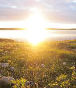 The midnight sun. Caption: The midnight sun., Credit: Louisa Jonas