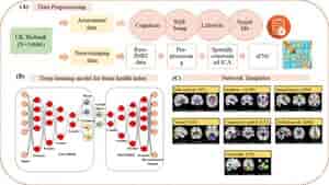 A Trifecta of Deep Learning Models: Assessing Brain Health by