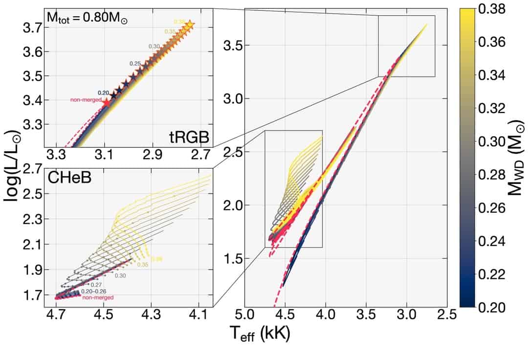 Finding the unusual red giant remnants of cataclysmic variable mergers ...