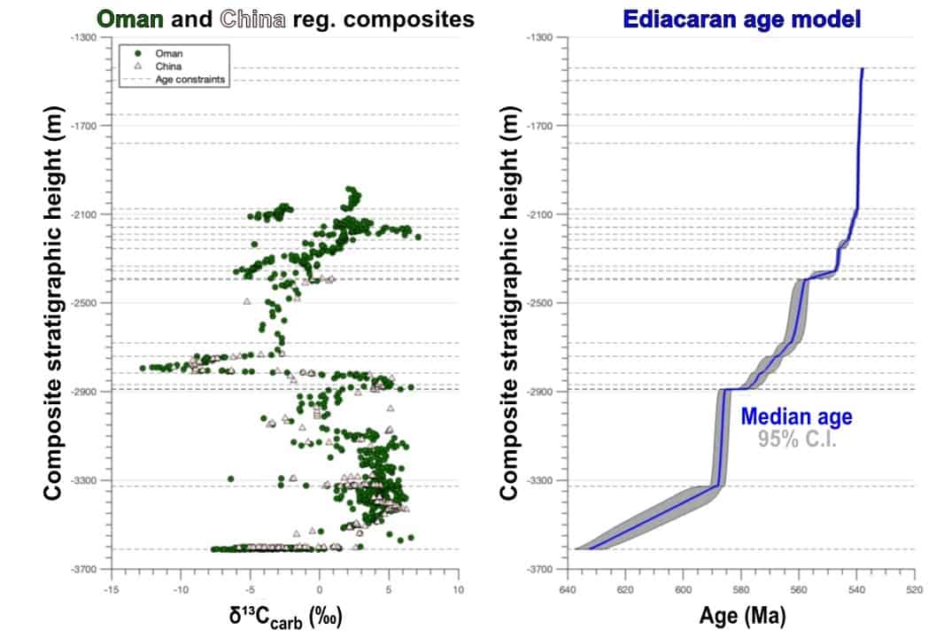 Sediment Accumulation Rates and High-Resolution Age-Depth Models ...