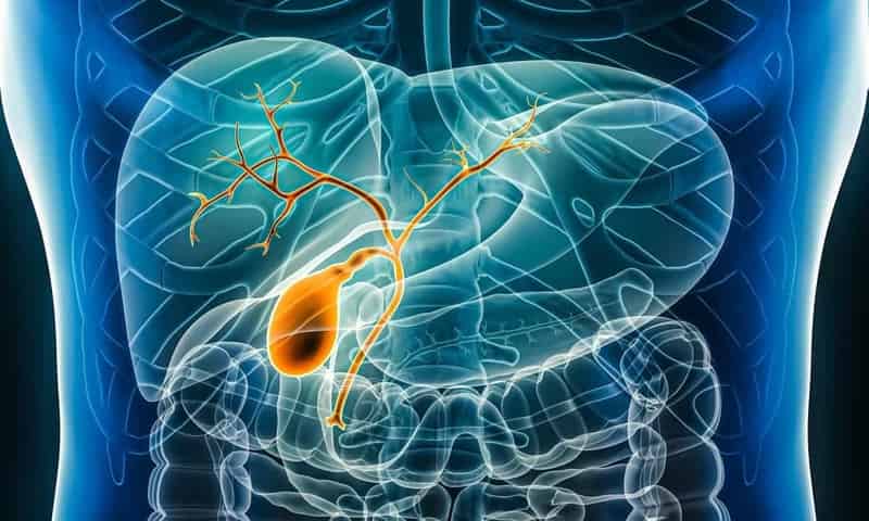 bile_duct_cancer.jpg?1728397325