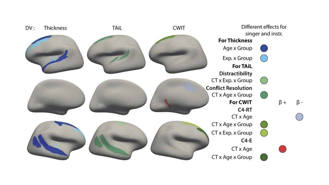 Experience-induced plasticity in the attention system of healthy adults ...