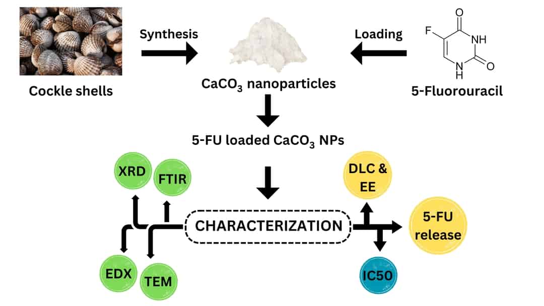 Synthesis and Characterization of 5-Fluoroacil Loaded Calcium Carbonate ...