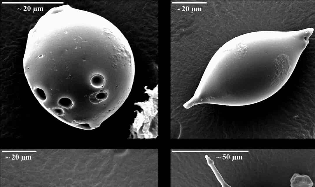 Microscopic Charcoal and Tar (CHAT) Particles in Peat: A 6500-Year ...