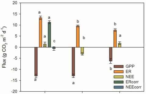 Controls on Plot-Scale Growing Season CO~2~ and CH~4~ Fluxes in