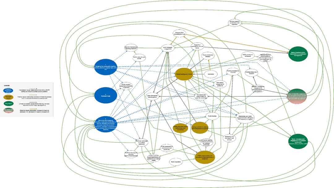 Complex Systems Methods for Impact Evaluation: Lessons From the ...