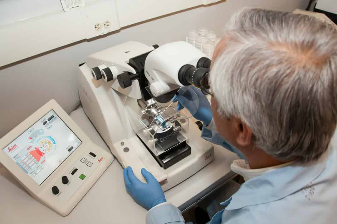 A comprehensive guide to MMR testing in gynecological and ...