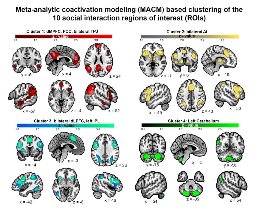 Brain bases of real-time social interaction: A meta-analytic ...