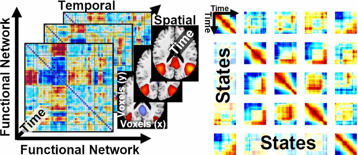 Data-guided neuroimaging and visualization: From functional