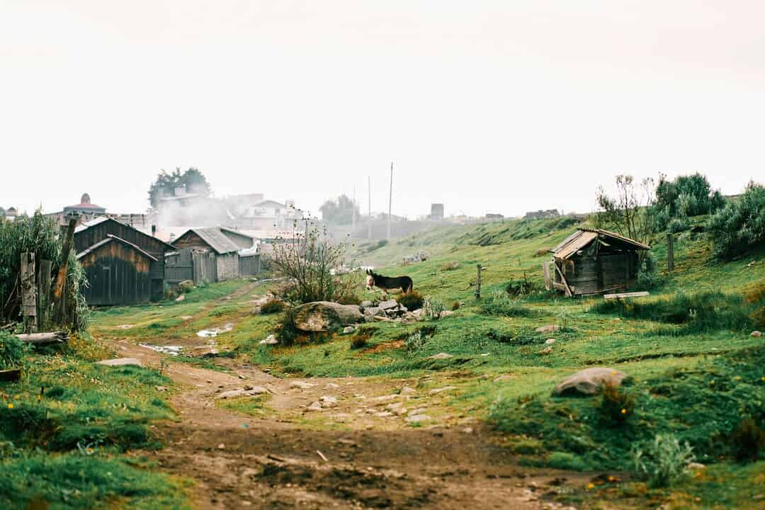 Selective Inclusion in Eastern Congo: Humanitarian Governance ...