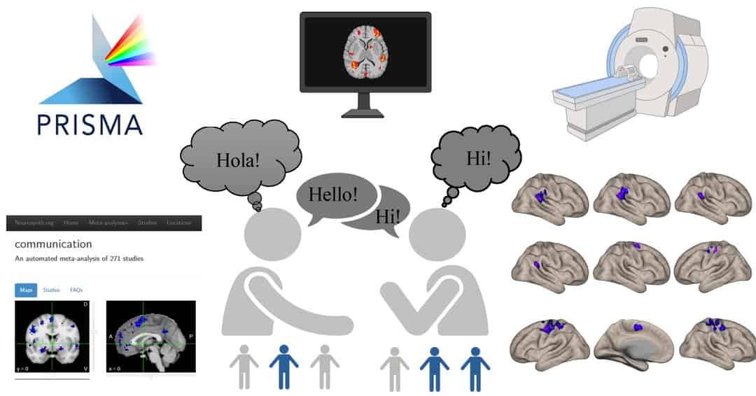 Converging evidence of the impact of bilingualism on the brain’s ...