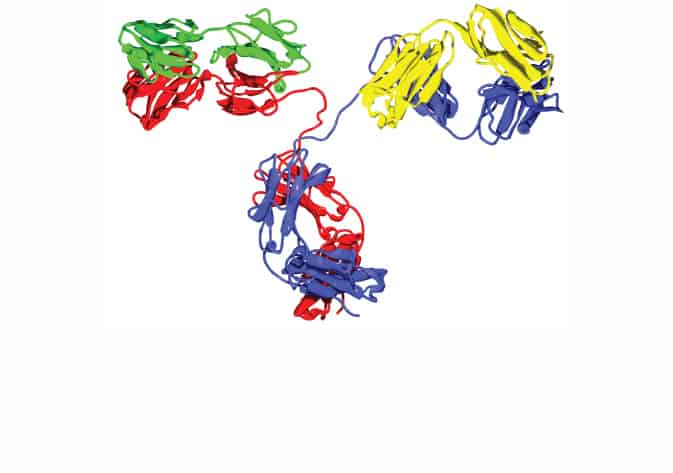 Machine learning for assessing the role of immunoglobulin free light ...