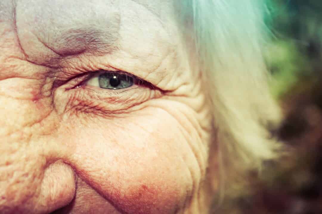 Changes of Neural Connectivity with Aging and its Impact on Memory ...