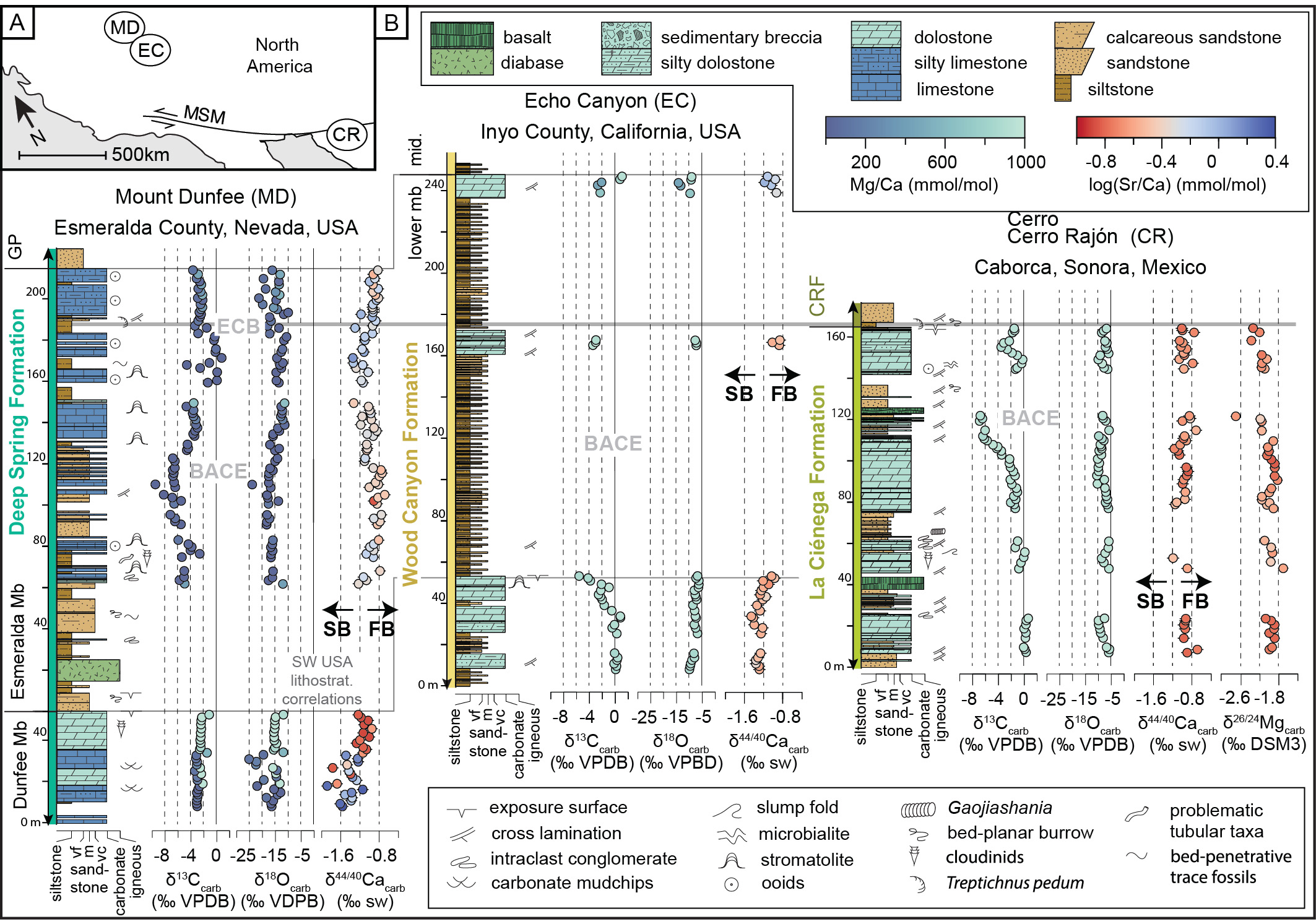 Carbon Isotope Trends of Precambrian-Cambrian Carbonates in 