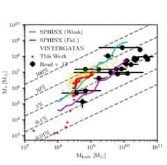 The Impact of Star Formation and Feedback Recipes on the Stellar Mass ...