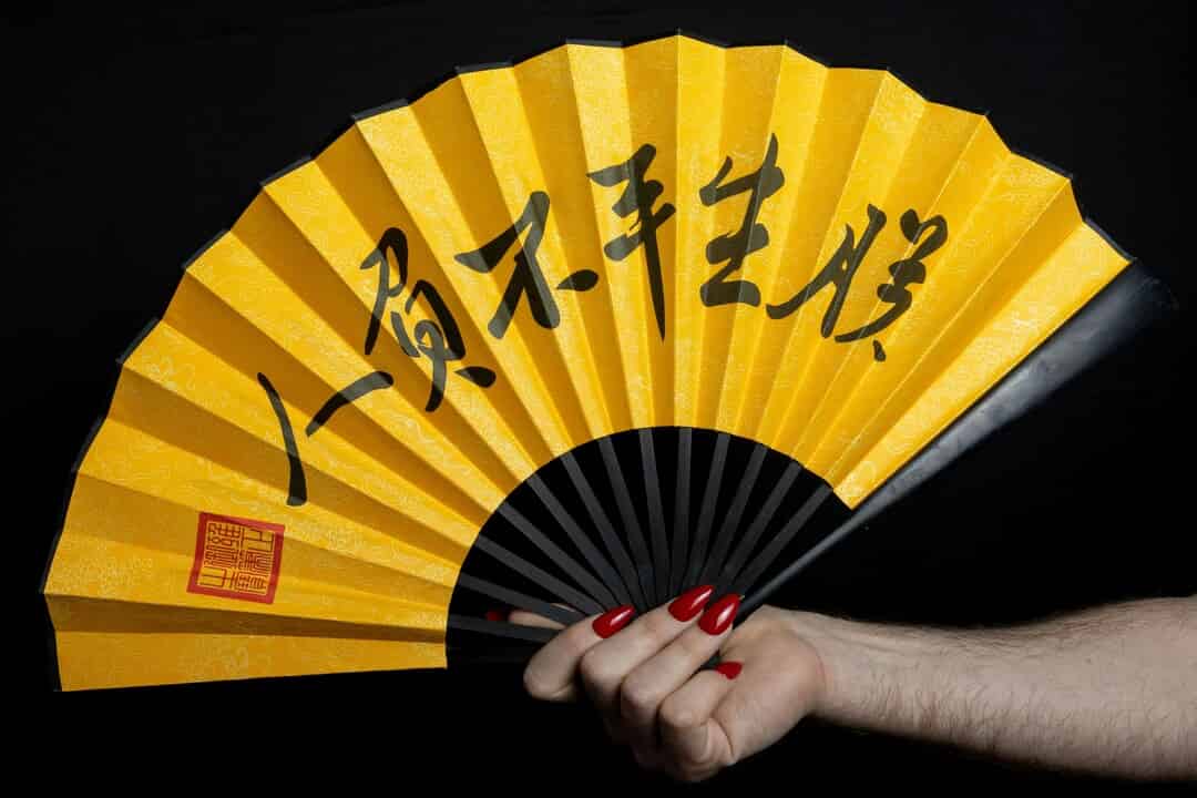 Planar graphs in blowups of fans | Published in Advances in Combinatorics