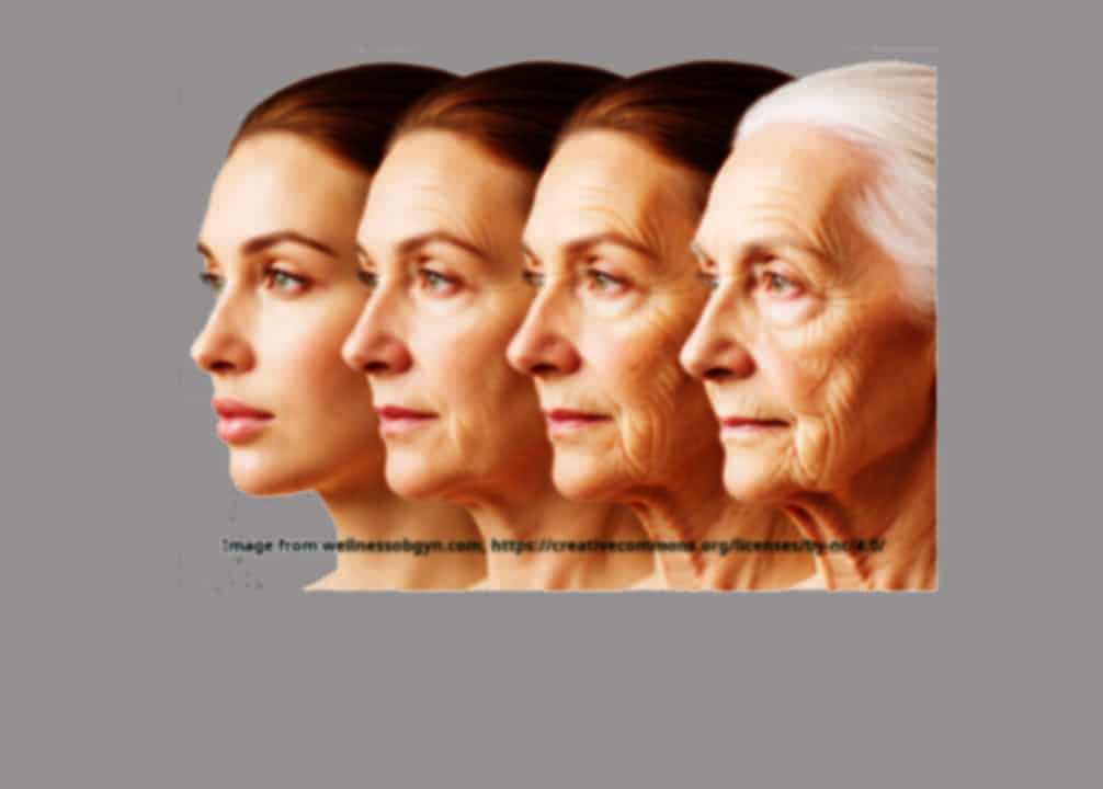 Critical Window Development Testing the Critical Window Hypothesis in Alzheimer’s Disease: brain vs ...