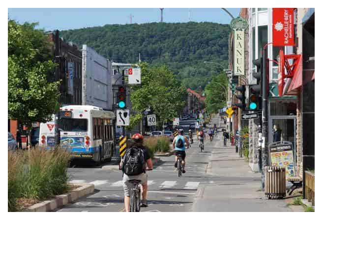 Understanding Public Preferences for Urban Transportation: Evidence from Montréal | Published in Findings