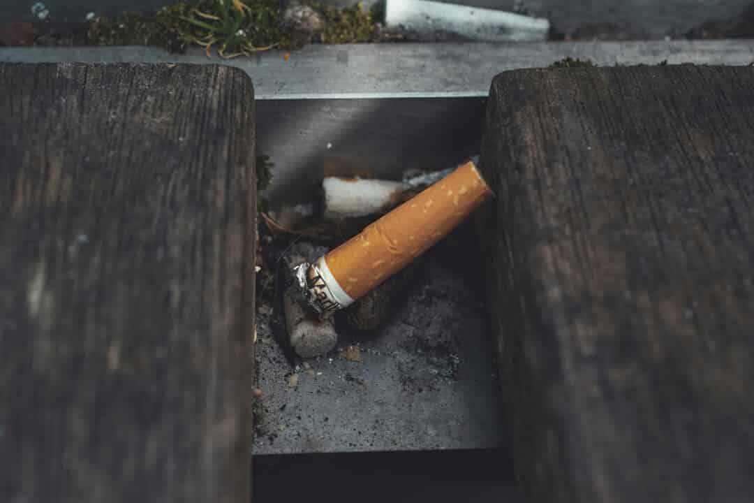 camel cigarette sweatshirt Camel Cigarettes
