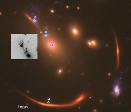 A Tale of Tails: Star Formation and Stripping in Jellyfish