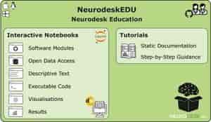 Developing an interactive neuroimaging education resource with