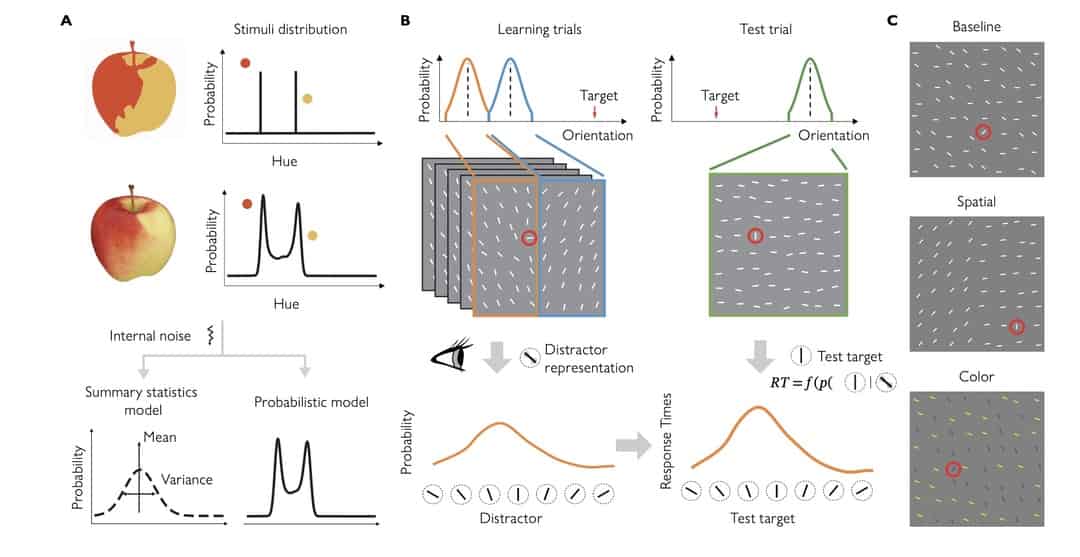 Probabilistic representations as building blocks for higher-level ...