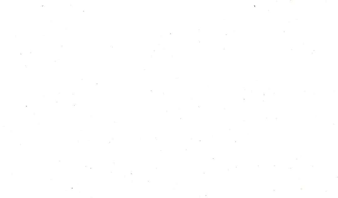 How Winery Tourism Experience Builds Brand Image and Brand Loyalty