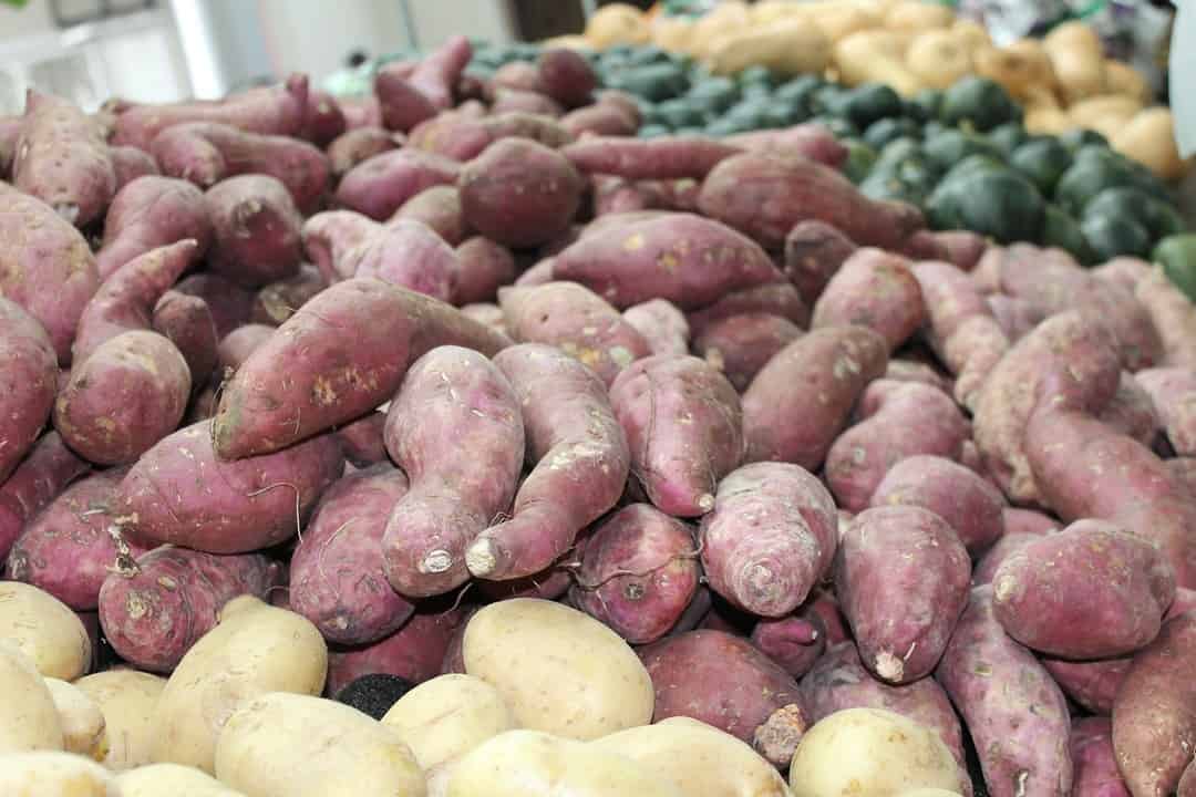 The influence of native and acidmodified sweet potato (Ipomoea batatas