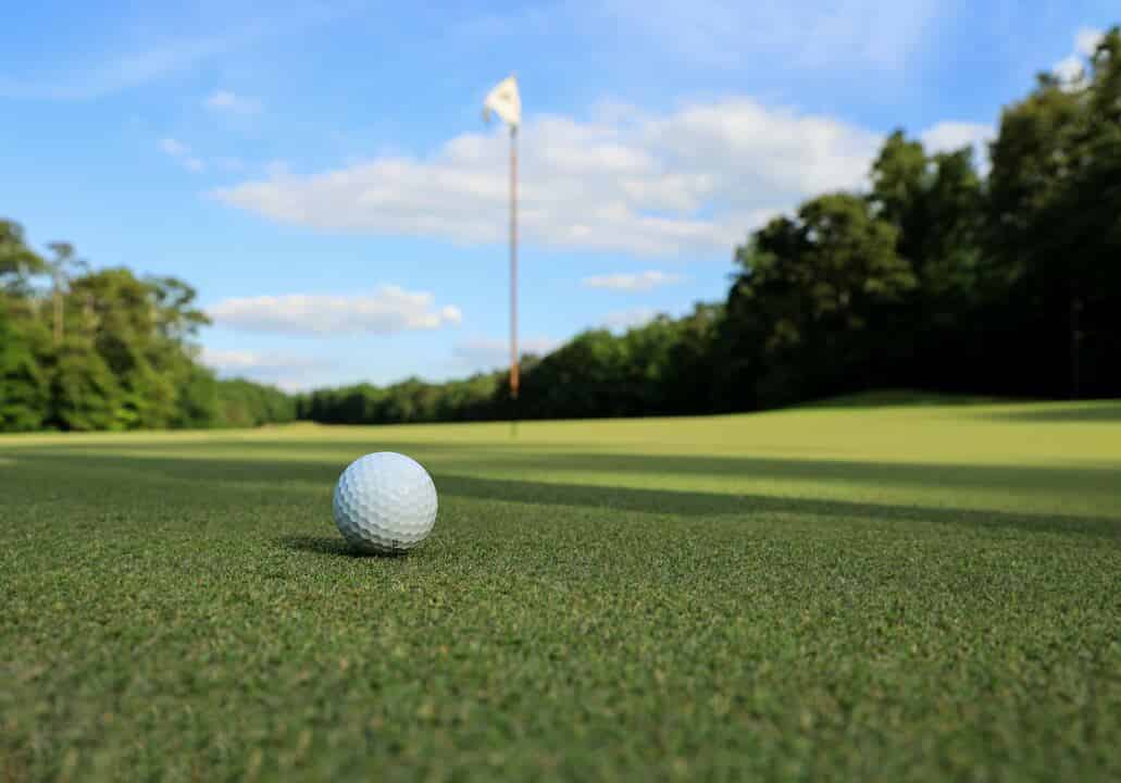 The Golfer’s Fore, Fore +, and Advanced Fore + Exercise Program: An ...