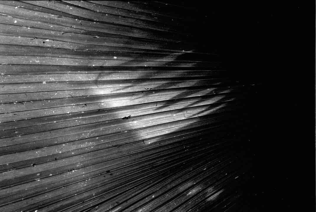 GLM for Dummies (and Actuaries) Published in CAS EForum