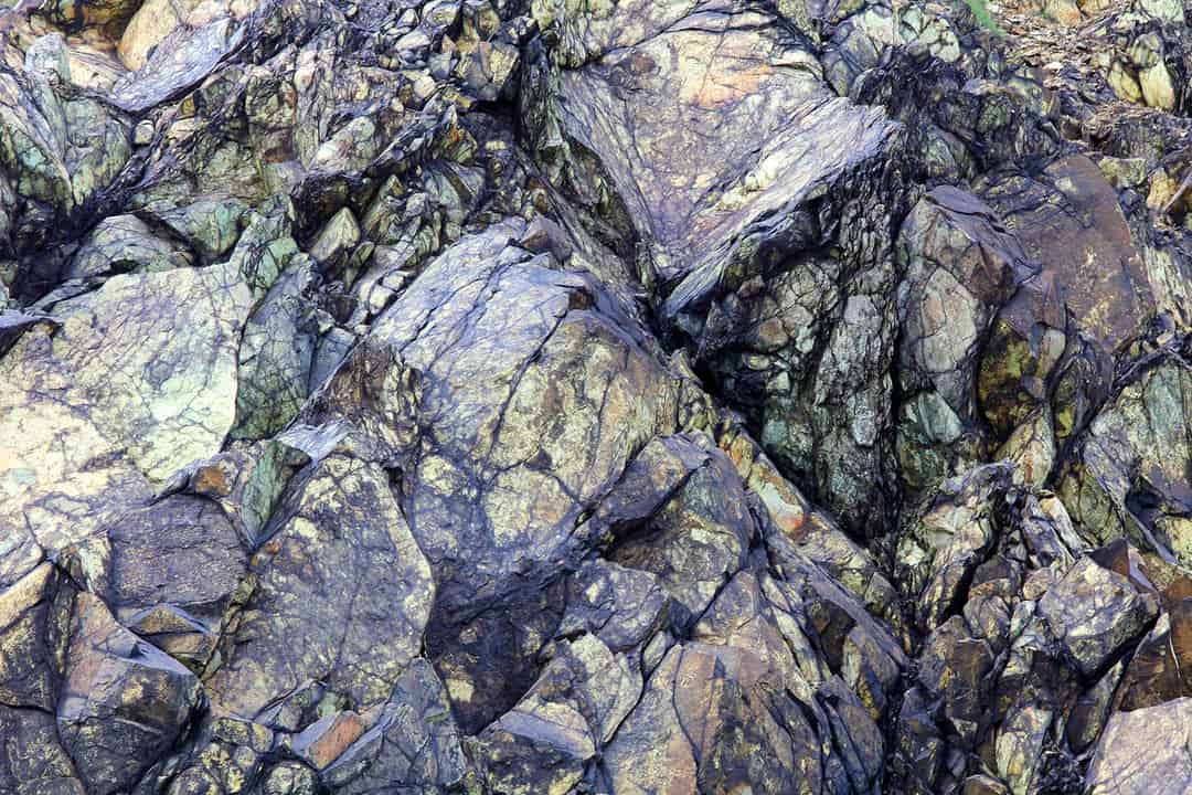 Effects of cadmium exposure on tissue structure, antioxidant enzyme ...
