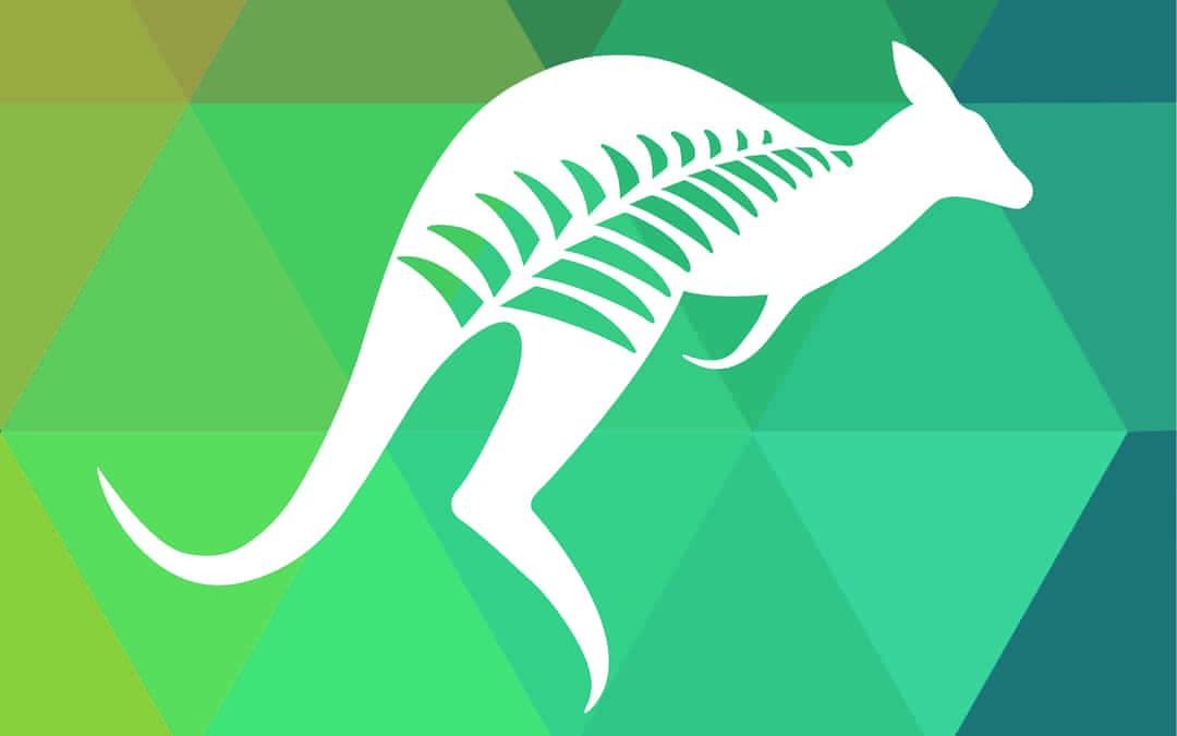 best-practice-draft-guidelines-for-feedback-anzssa-guidelines-for