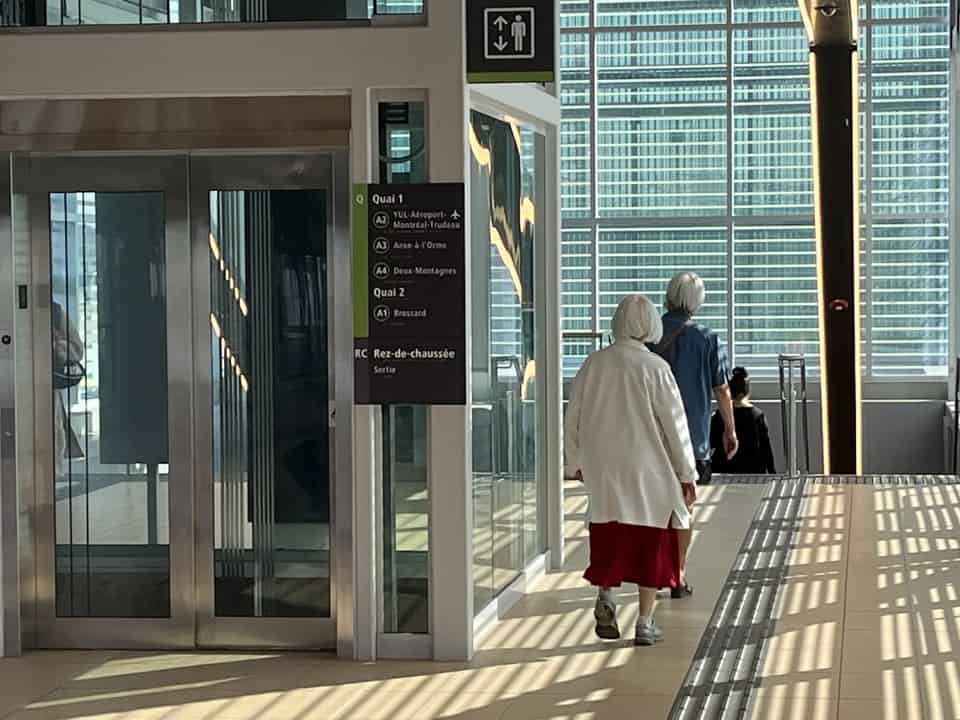 If Transit is Free will Older Adults use it More? A Longitudinal ...