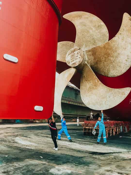 Back Matter | Published in Mainsheet