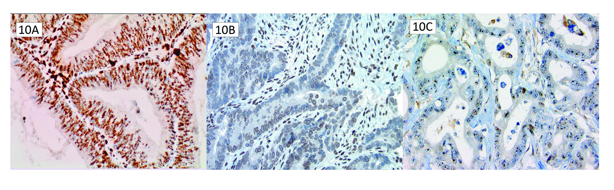 Figure 10