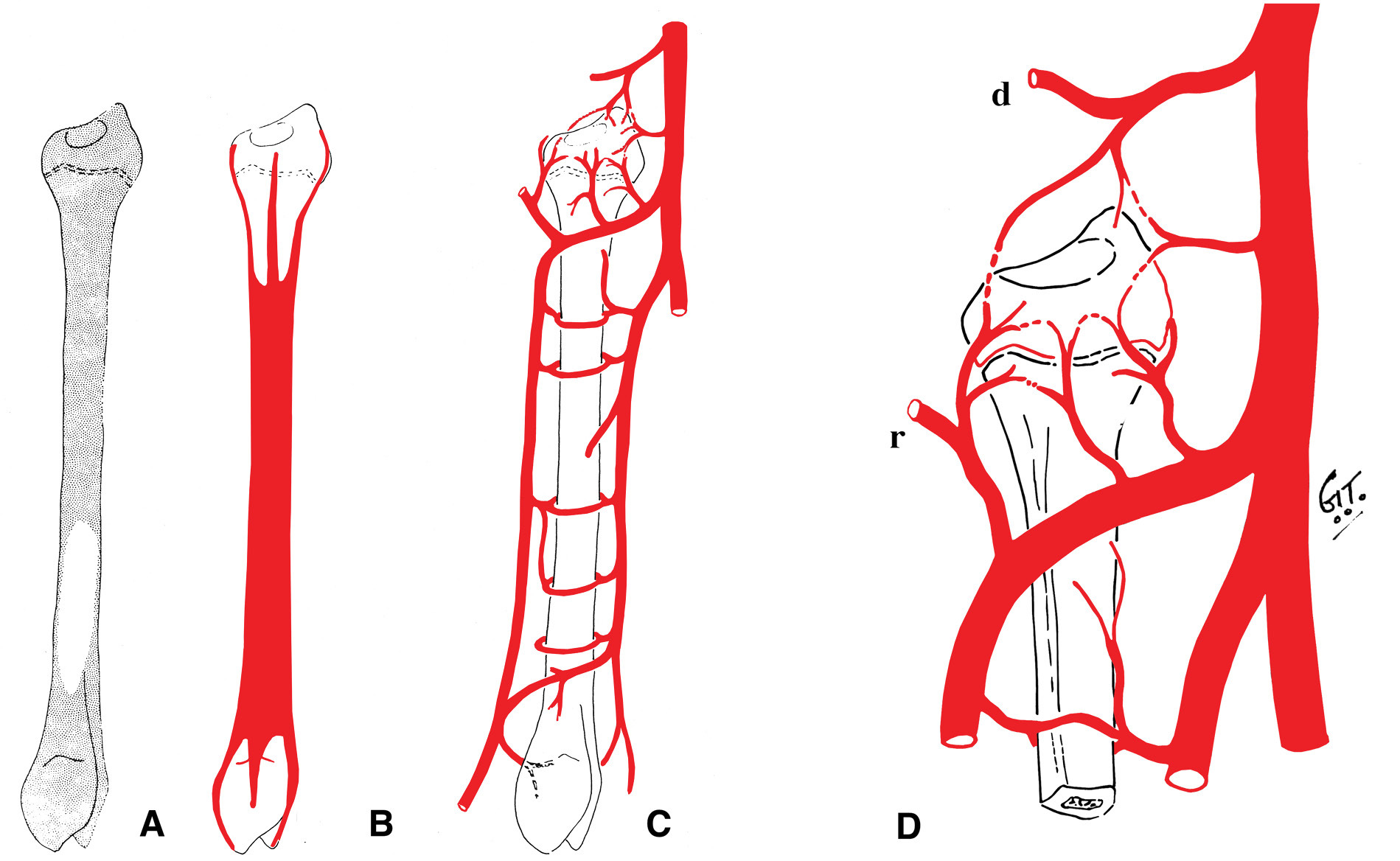 Fig 8