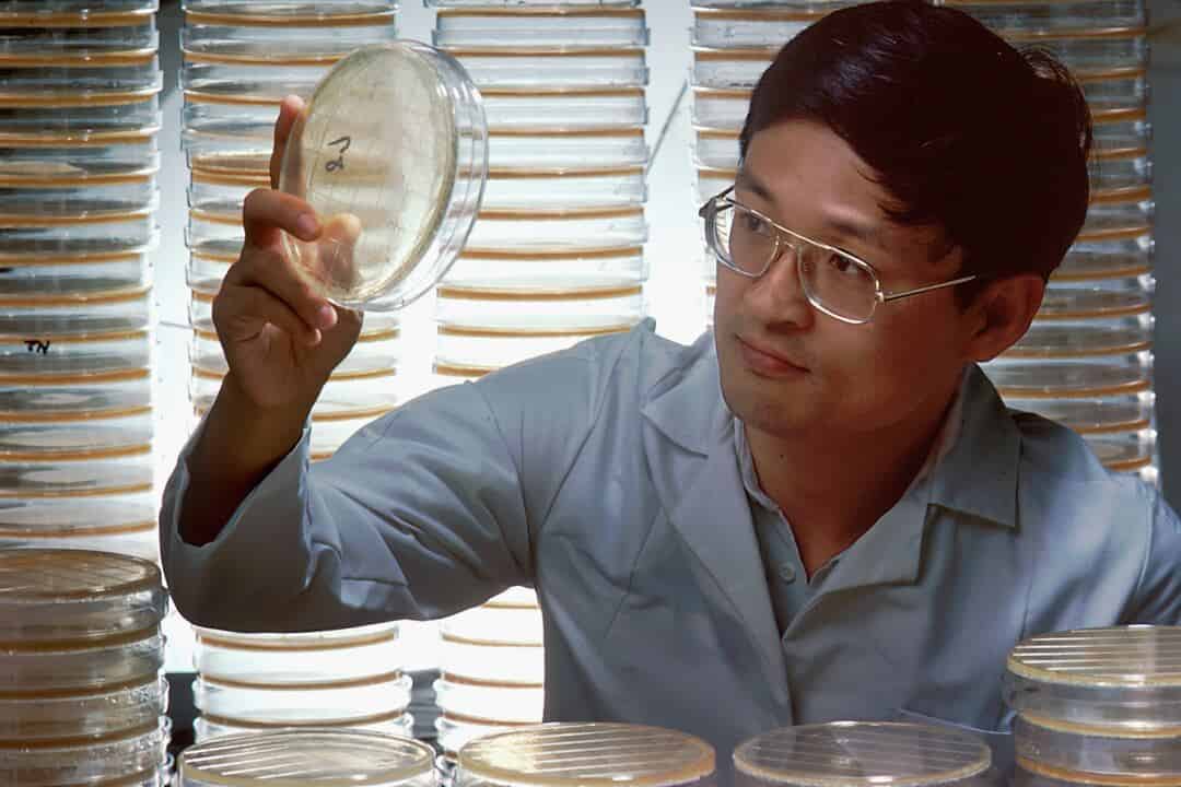 The rise and fall of antibiotics: What would a post-antibiotic world ...