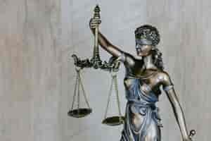The 2025 Dunwody Distinguished Lecture in Law