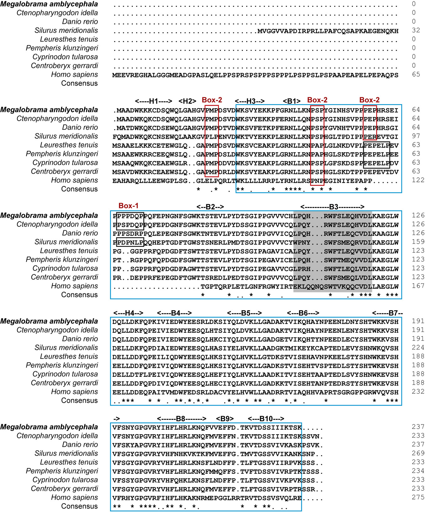 多重序列比对结果-3