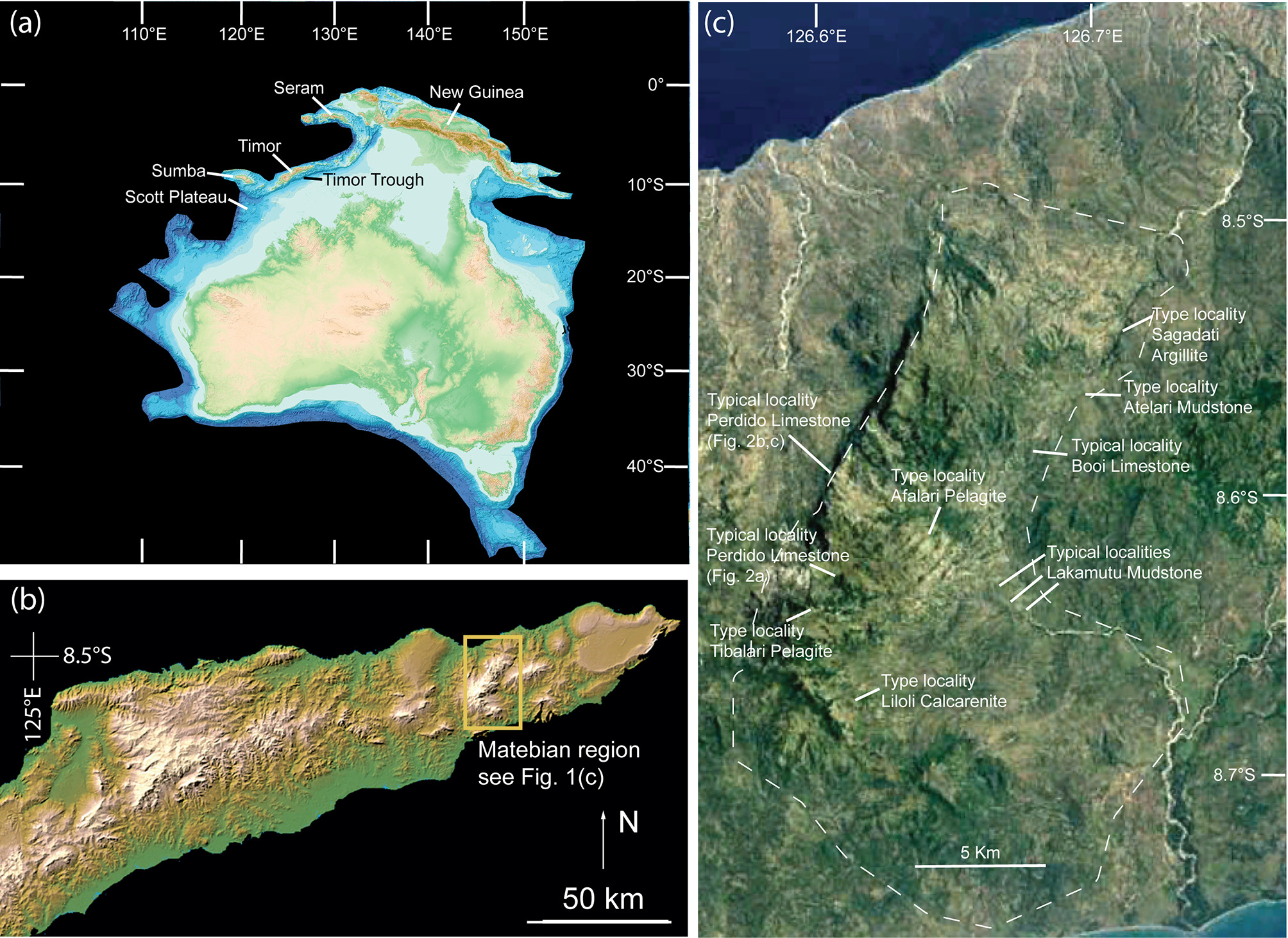 Fig. 1